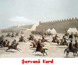 Servane_Kurd_24.jpg