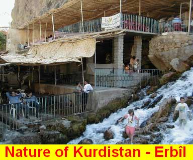 Nature_of_Kurdistan - Erbil_1.jpg