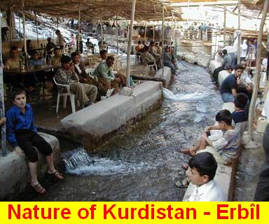 Nature_of_Kurdistan - Erbil_2.jpg