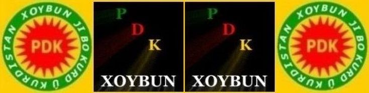 PDK_1965_u_PDK_XOYBUN_Logo_Nu_s1.jpg