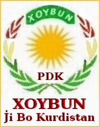 PDK_XOYBUN_010c1.jpg
