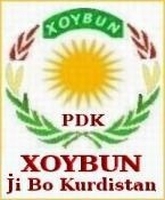 PDK_XOYBUN_09c2.jpg