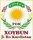 PDK_XOYBUN_Nu_c1.jpg
