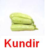 Kundir_3.jpg