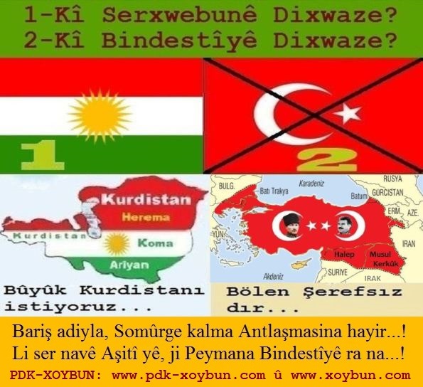 Nexshe_Kurdistane_u_Nexshe_Tirkiye_3.jpg