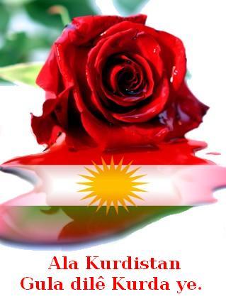 Ala_Kurdistan_Gula_Me_1.jpg